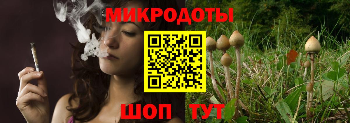 Галлюциногенные грибы GOLDEN TEACHER  Вход с VPN  Абинск  Псилоцибиновые грибы GOLDEN TEACHER 