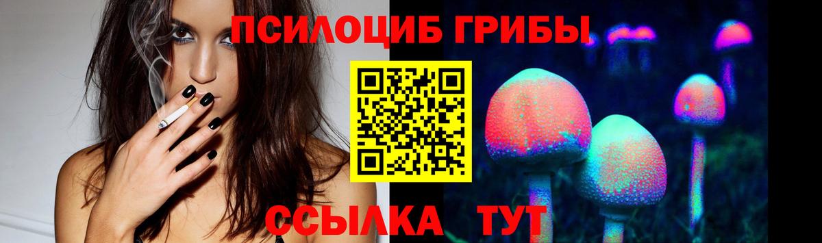 Псилоцибиновые грибы MAGIC MUSHROOMS Абинск