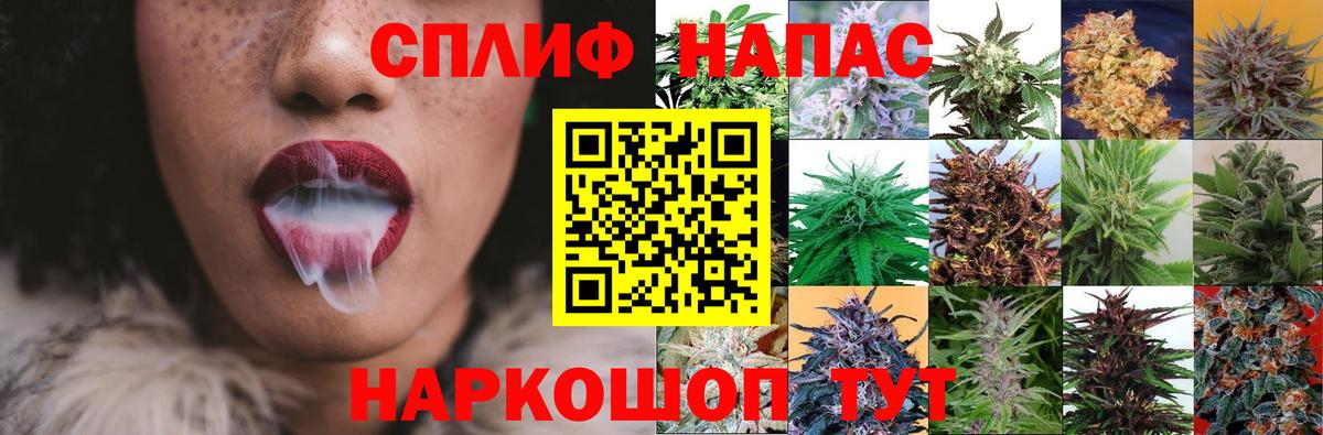 Шишки марихуана план Абинск