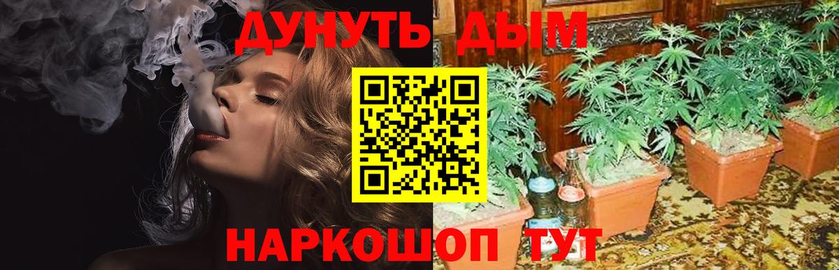 Конопля MAZAR  Конопля гибрид  Вход с VPN  Абинск  Марихуана OG Kush 